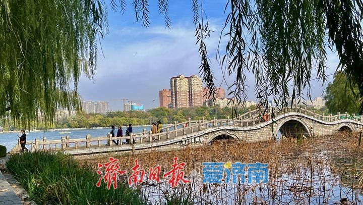 一年四季 泉在济南丨冬日暖阳上线 碧水蓝天绘就诗意画卷