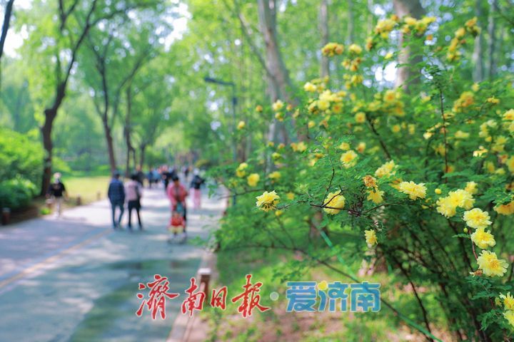 漫步赏春色 健身享周末
