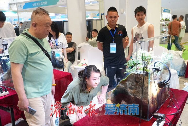 方寸之间藏天地！展会水陆缸微景观造景大赛激战正酣，高手齐聚济南