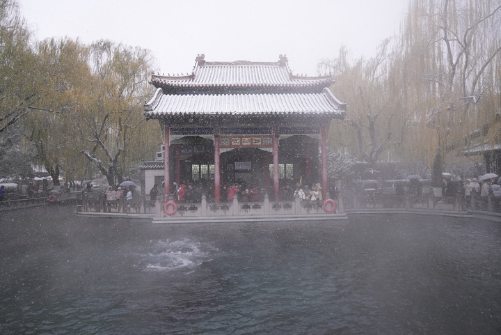 一年四季 泉在济南丨趵突泉“云雾润蒸”引客来