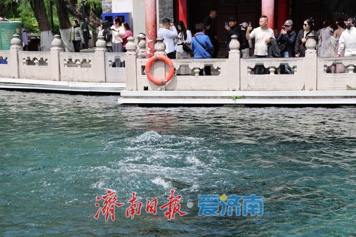 一年四季 泉在济南丨谷雨补泉涌 趵突泉地下水位三天上涨5厘米