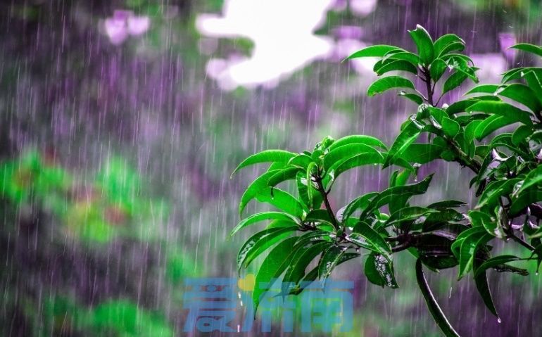 雨水延后！周末两天济南多有局地雷阵雨，阵风可达7～8级