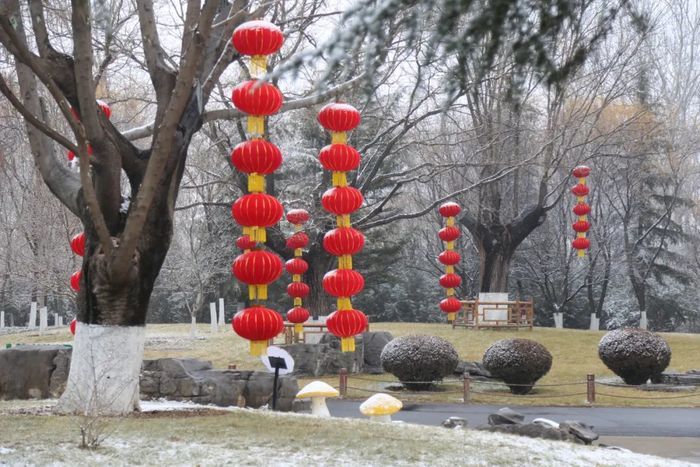 “泉”在济南过大年｜公园景区“盛装打扮”准备就绪，为市民游客奉上新春狂欢