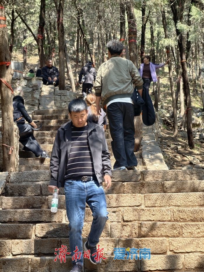 灵岩寺春日文旅热度攀升，千年古刹焕发时代新活�? height=