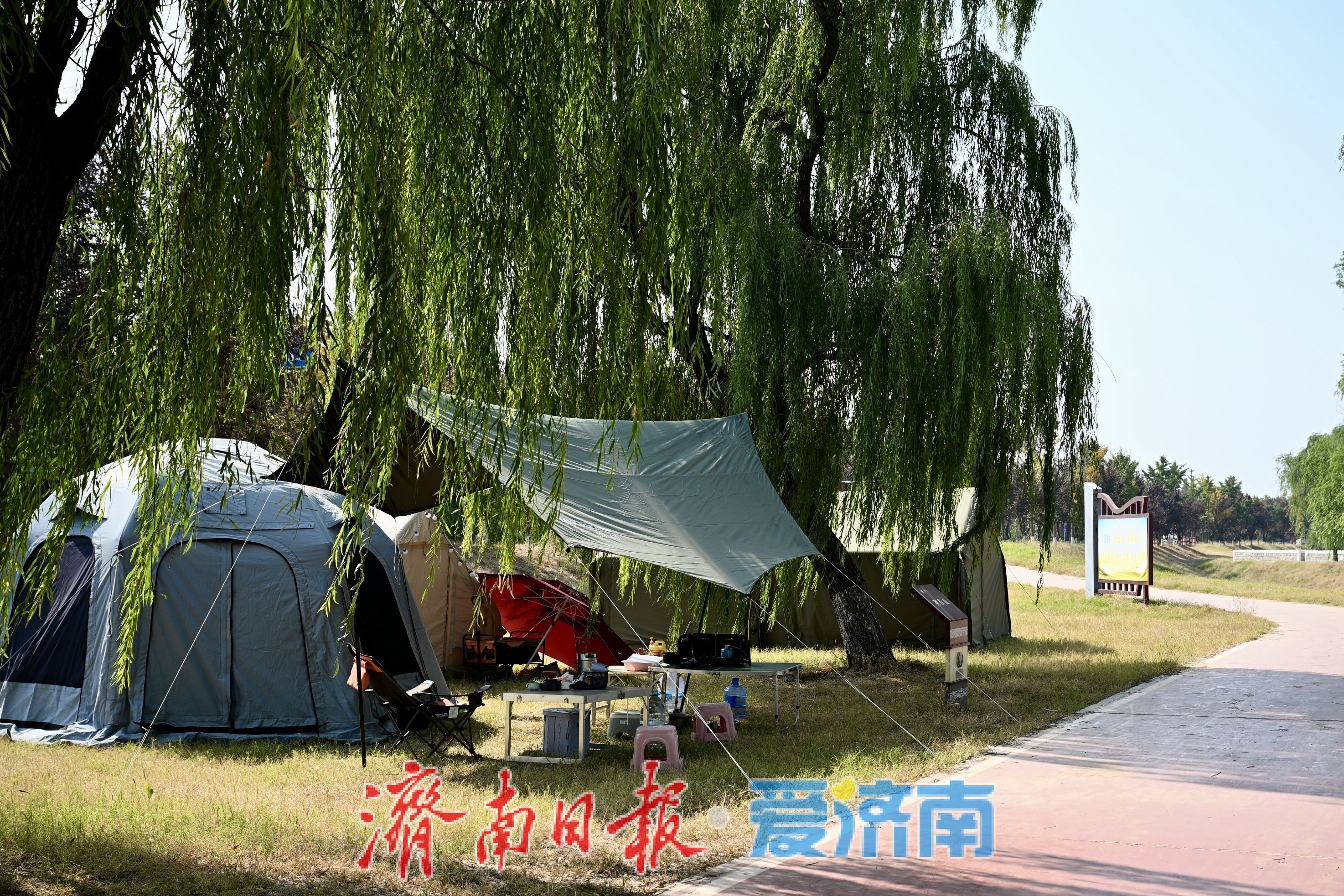 一年四季 泉在济南丨秋韵满黄河，露营引人流 黄河沿岸成休闲新地标