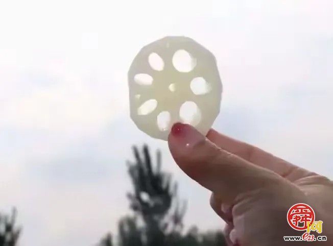 为哪吒重塑肉身，试试白云湖的藕？