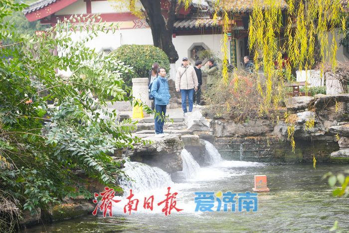 泉暖寒冬 济南泉水游点燃冬日热情