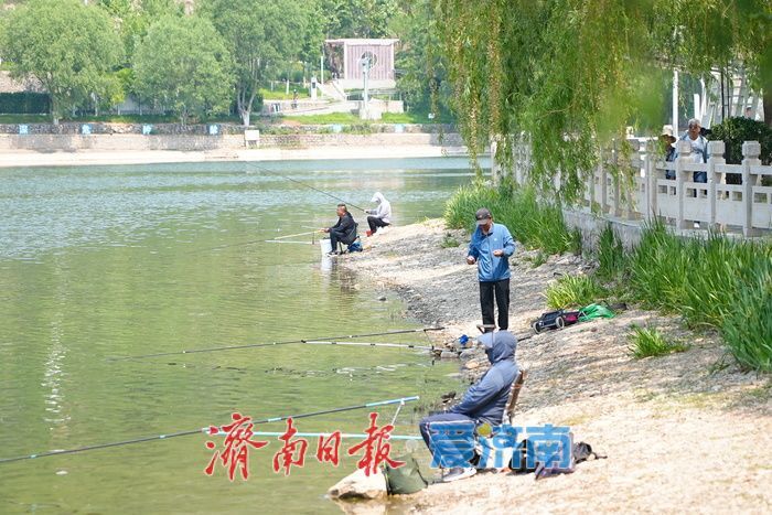 一年四季 泉在济南丨孟家水库生态美 垂钓休闲引客来