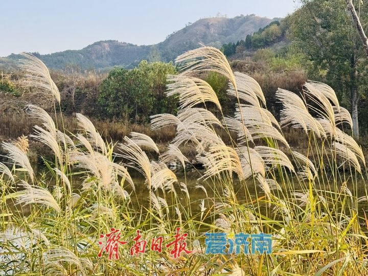 一年四季 泉在济南丨通天河畔秋意浓 山水如画醉人心