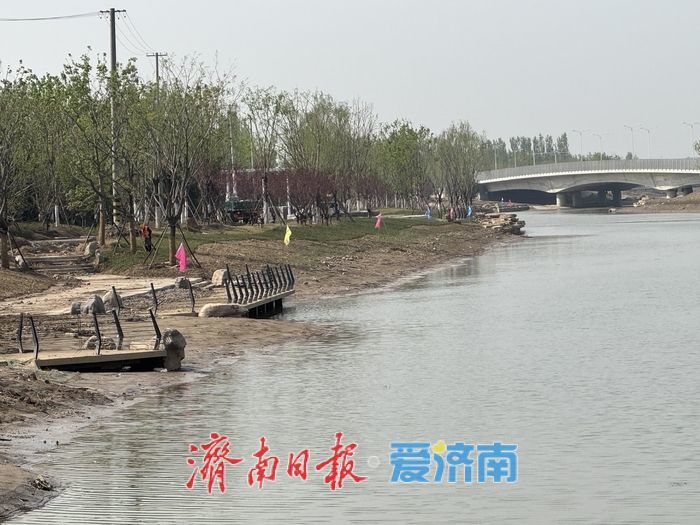 项目强省会｜大寺河提升改造初见成效 水清岸绿展新颜