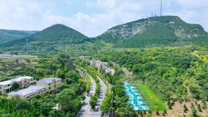 “泉”在济南过五一｜游客与松鼠“双向奔赴”！济南这处宝藏“松鼠部落”藏不住了