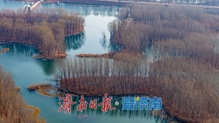 一年四季 泉在济南｜春水初生，静候知音：小清河源头“无人之境”的春日生机