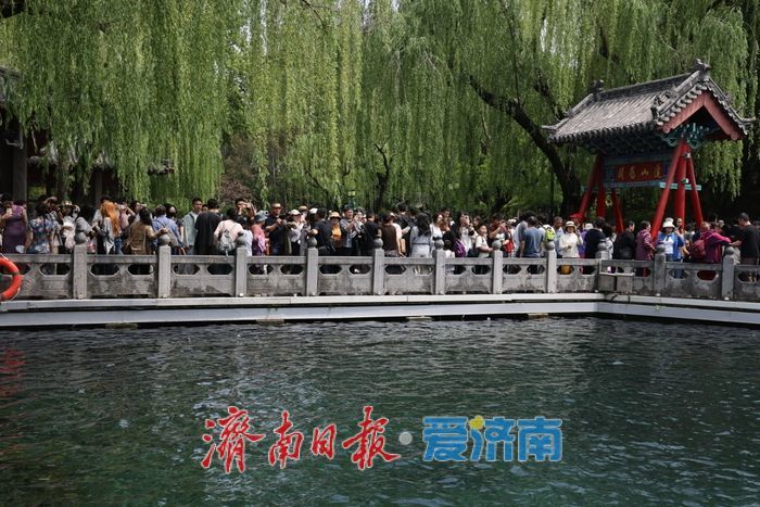 假期尾声 趵突泉清晨景致引游人打卡