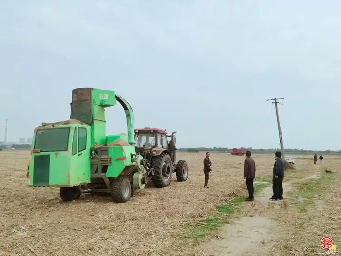 章丘圣井街道：农业之花绽放在耕耘里