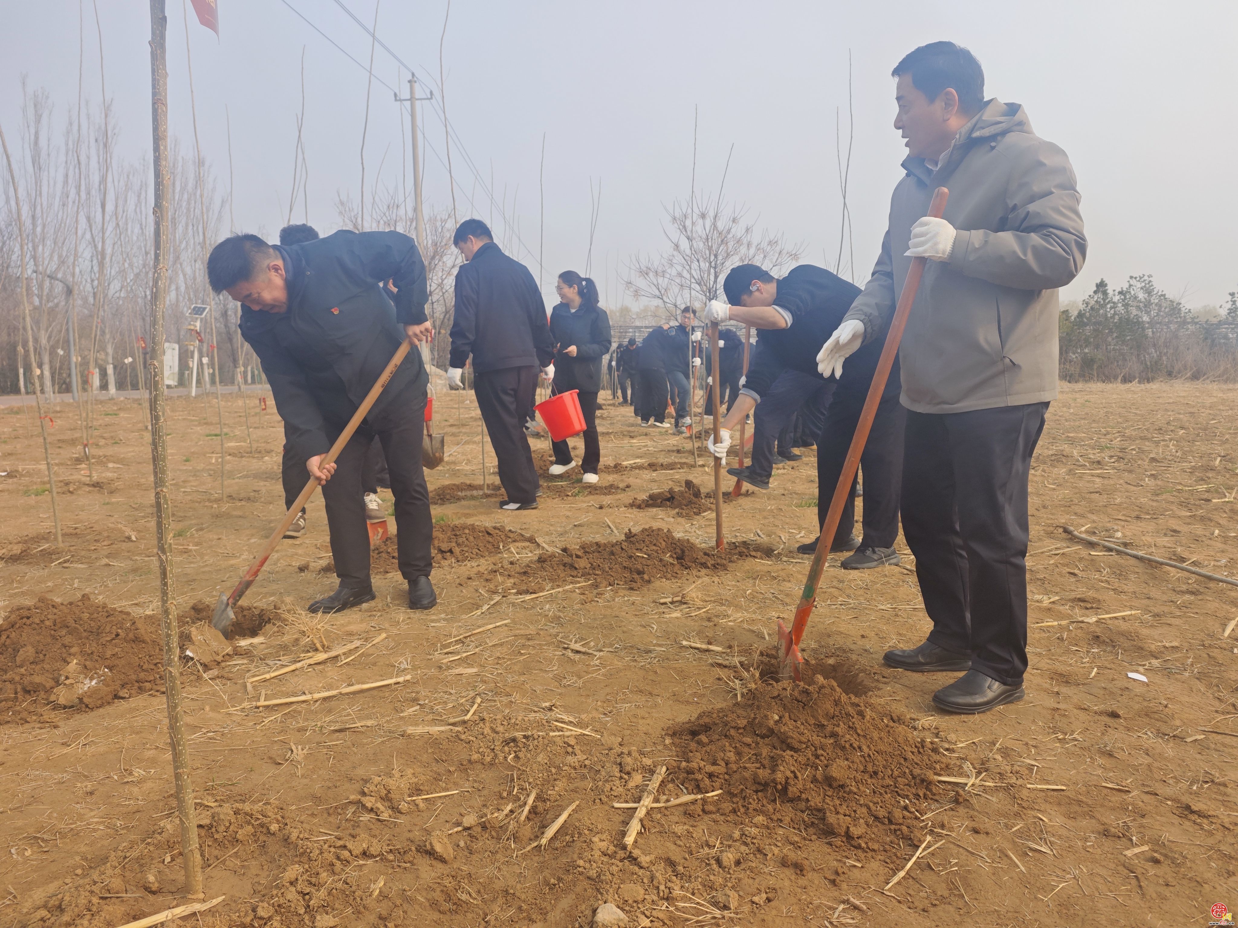 济南公交西部分公司开展义务植树活动