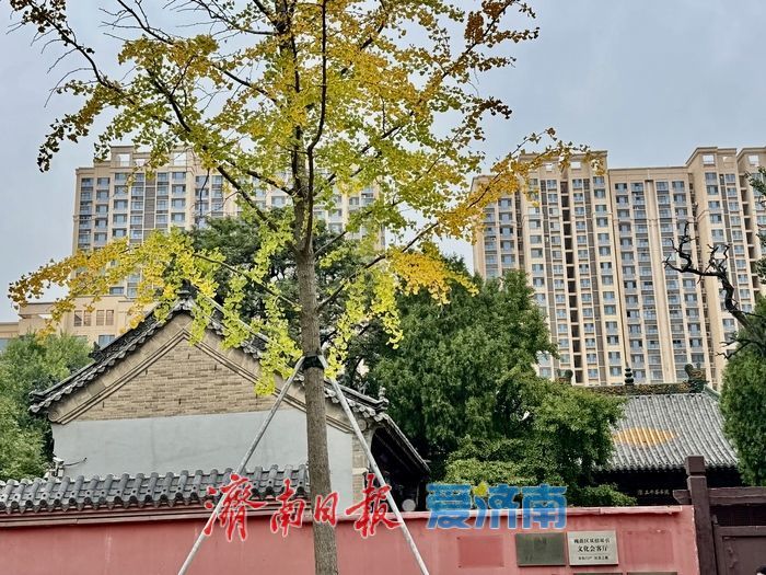 一年四季 泉在济南 