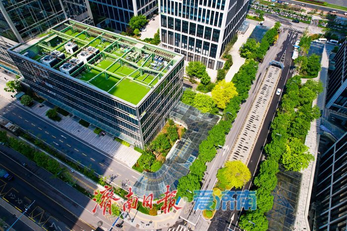 楼宇为框 春色入画