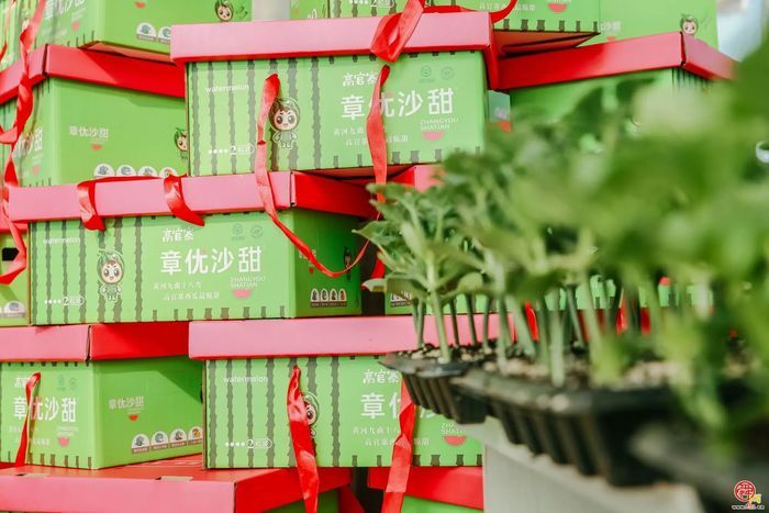 高官寨街道：“强动能 兴产业 优治理”三维驱动谱写发展新篇