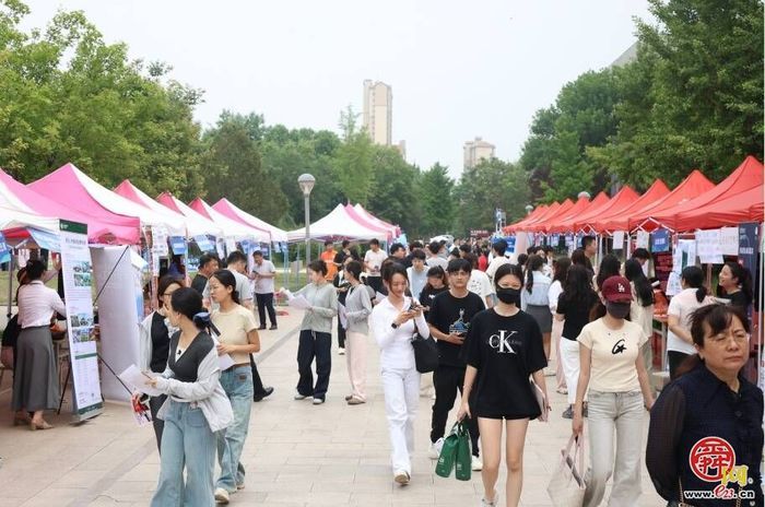 “才聚槐荫·职等你来”校招会走进高校  槐荫邀您共赴一场青春之约