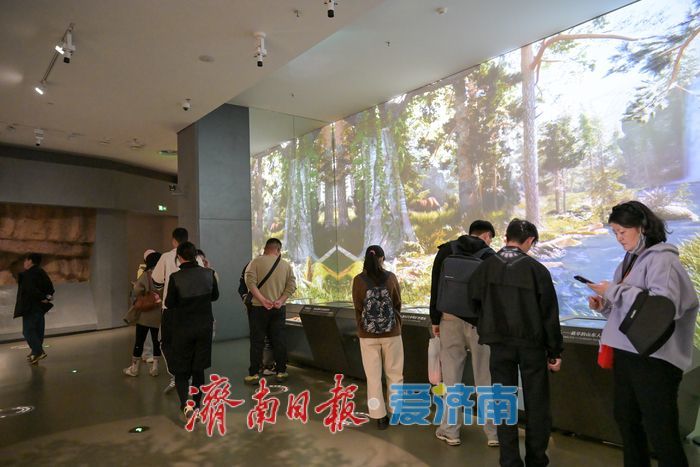 一年四季 泉在济南丨山东博物馆迎春潮 文博热浪映春光