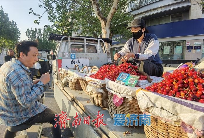 “果盘子”上新啦！济南樱桃集中上市，价格亲民美味诱人