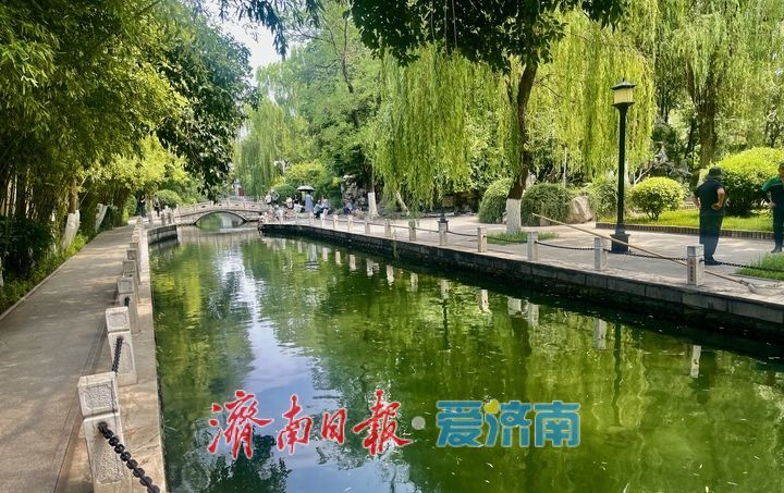 一年四季 泉在济南｜泉边夏日 戏水纳凉好景致