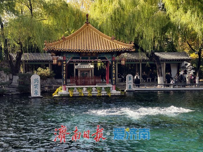 趵突泉披上“初冬调色盘”，三股水映衬冬日里的斑斓画卷