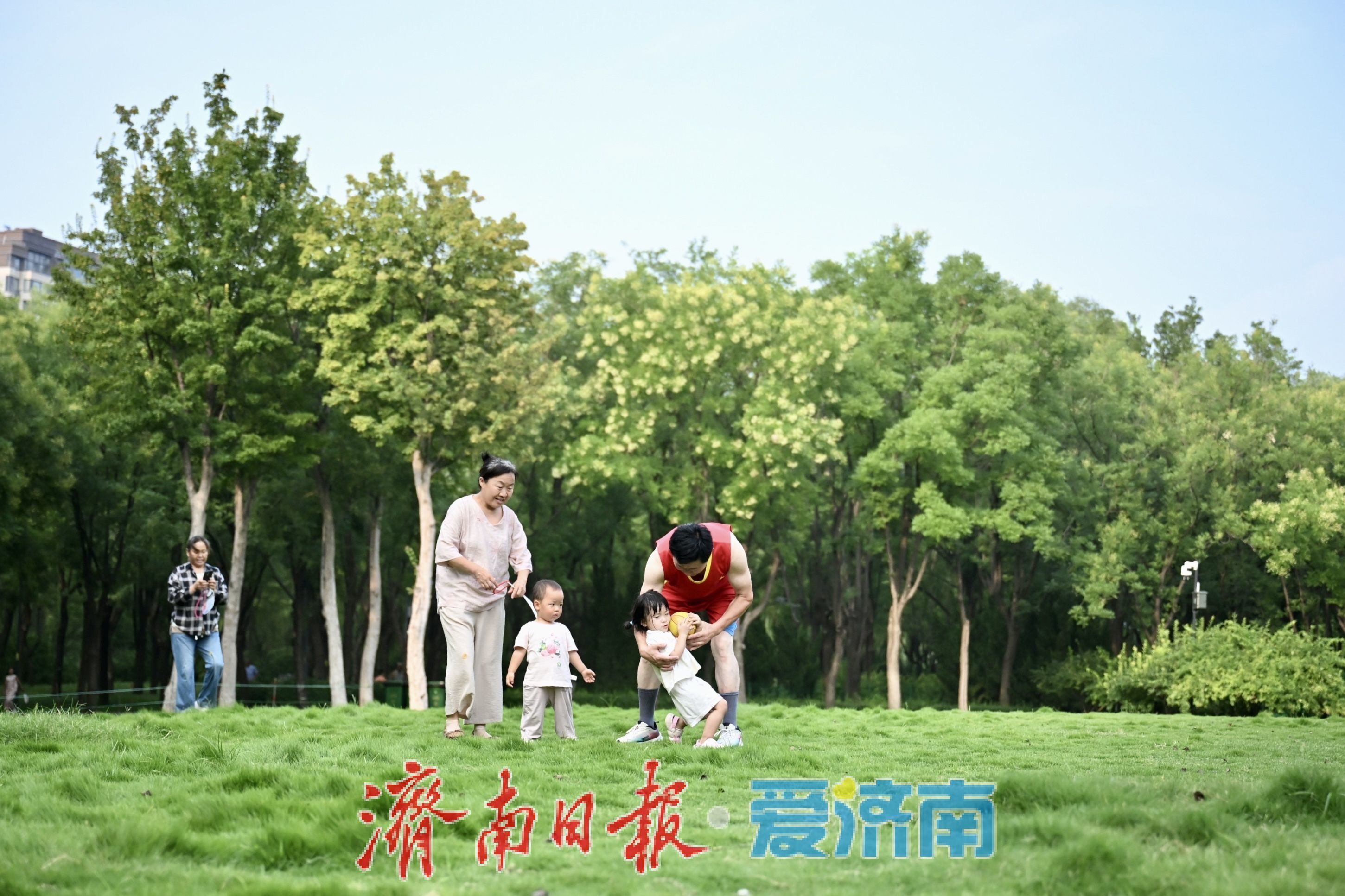 一年四季 泉在济南丨济南森林公园绿地草坪变身避暑胜地，市民林间纳凉乐享夏日慢时光
