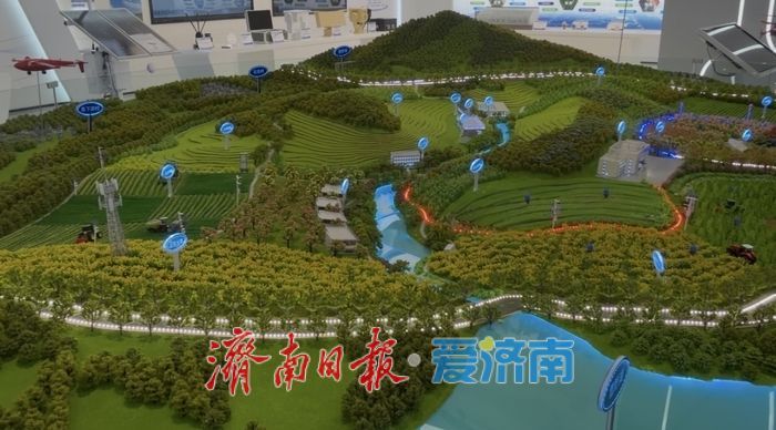 从 “田间蹲守” 到 “数据掌舵” ，天空地网智护齐鲁粮仓