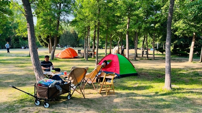 “泉”在济南过五一｜五一假期，济南9家市属公园纳客85.56万人次，千佛山、动物园、森林公园位列前三位