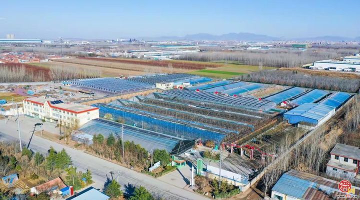 章丘区：开展专家服务活动 发展特色农业 助力乡村振兴发展