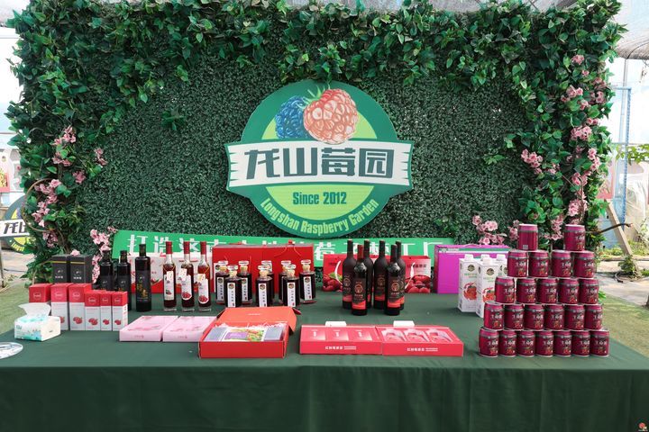 龙山小树莓  全国大市场