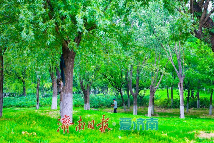 多云微凉风光好 市民畅游华山湖乐享惬意假期时光