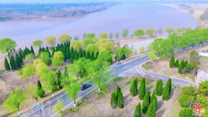 飞阅黄河大坝，邂逅“生态廊道”的春日序章｜春满槐荫·黄河长堤画卷①
