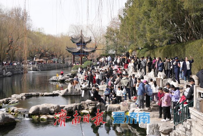 泉在济南过大年丨泉水游持续升温，赏泉品茗乐享新春