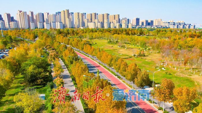 秋日彩叶映通途 一路风光伴出行