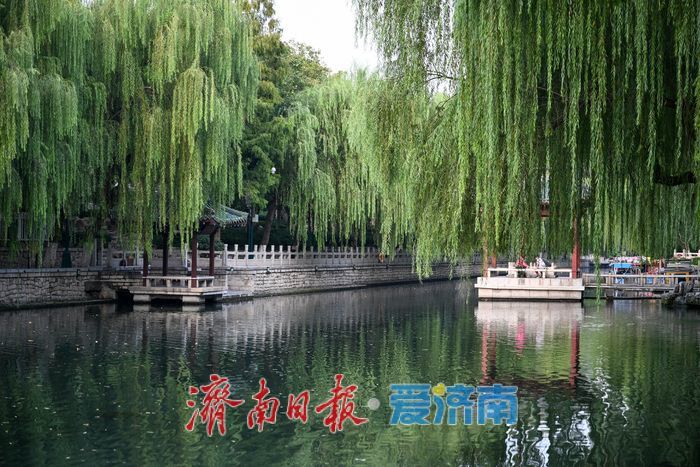  一年四季 泉在济南丨护城河水位明显上涨 泉水景观换新颜