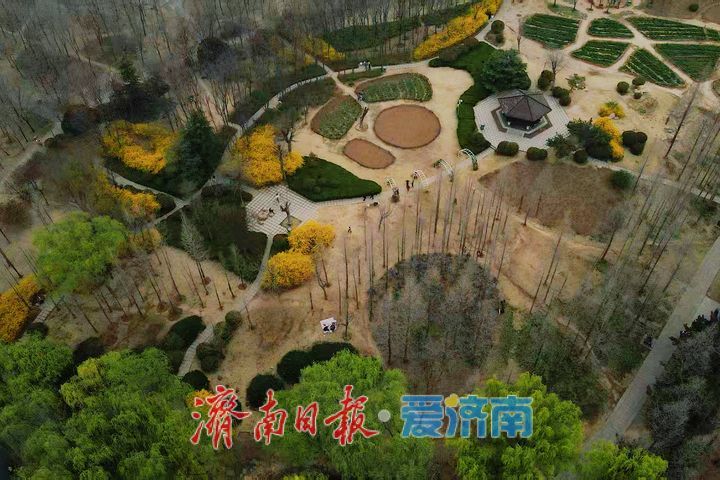 一年四季 泉在济南丨森林公园春色浓 生态美景入画来