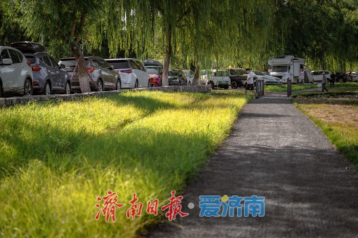 一年四季 泉在济南丨玉符河变身“生态乐园” ，戏水露营热了乡村经济