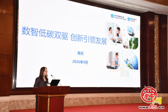 “聚焦城市生命线安全管控・赋能清洁高质量发展” 清洁能源高质量发展研讨会举办