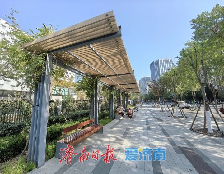 项目强省会｜学校门口打造“三件套” ，城市慢行交通“倍暖心”