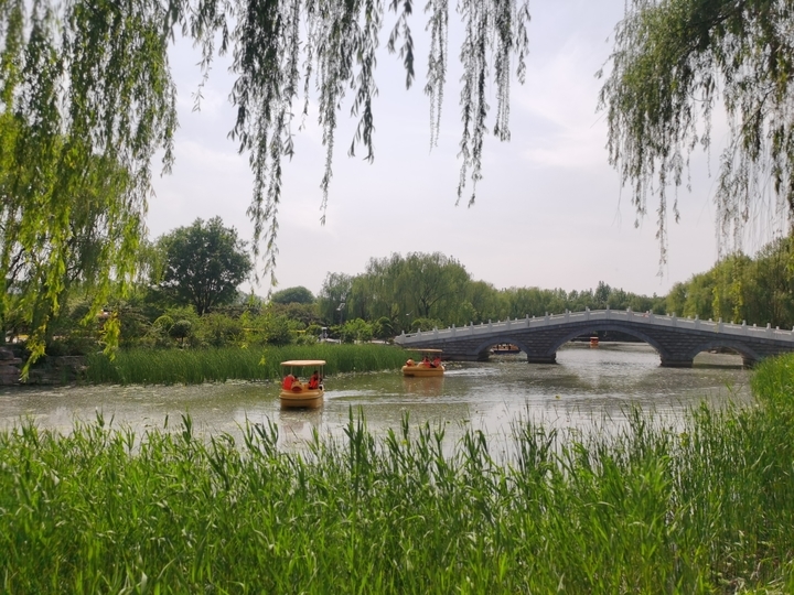 近郊游好去处！探秘济南鲜花港新潮打卡驿站