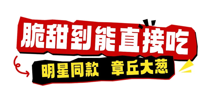 好客山东美食争霸赛，明星来助力！看看他们在鲁A都吃了啥?