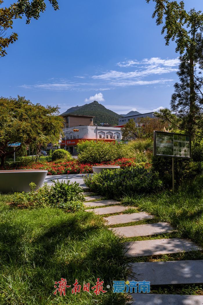 一年四季 泉在济南丨泉城公园：秋光正好，邂逅城市中的自然诗意