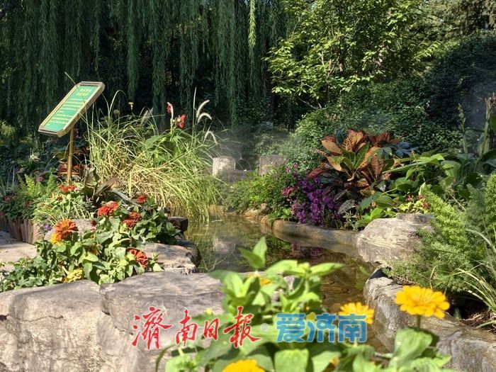 雾起溪畔，在园林间遇见清泉漫石之美