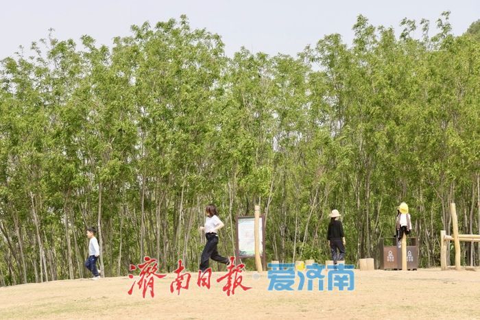 一年四季 泉在济南丨牧牛山春光烂漫 市民踏青遛娃乐享春日好时光