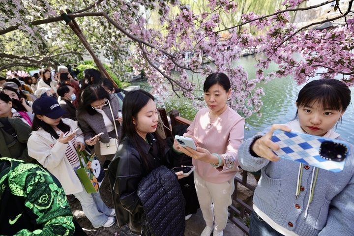 周末畅游花海 享受多彩春天