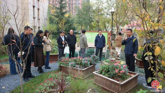 “邻里匠心 花园有约”共建花园游园活动圆满举行 全民携手绘就泉城绿色民生新图景