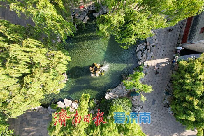 碧水如画，泉林入镜