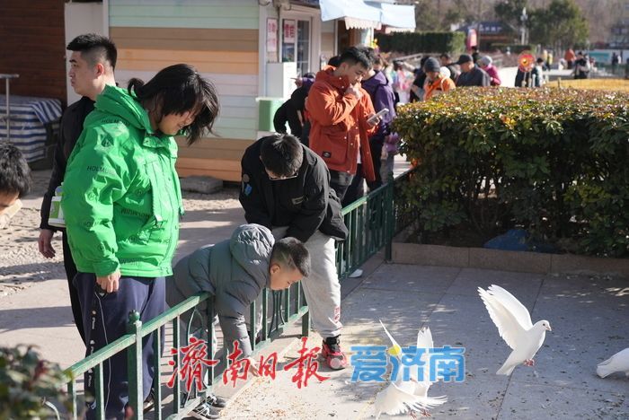 春风和煦，市民欢“鸽”笑语度周末